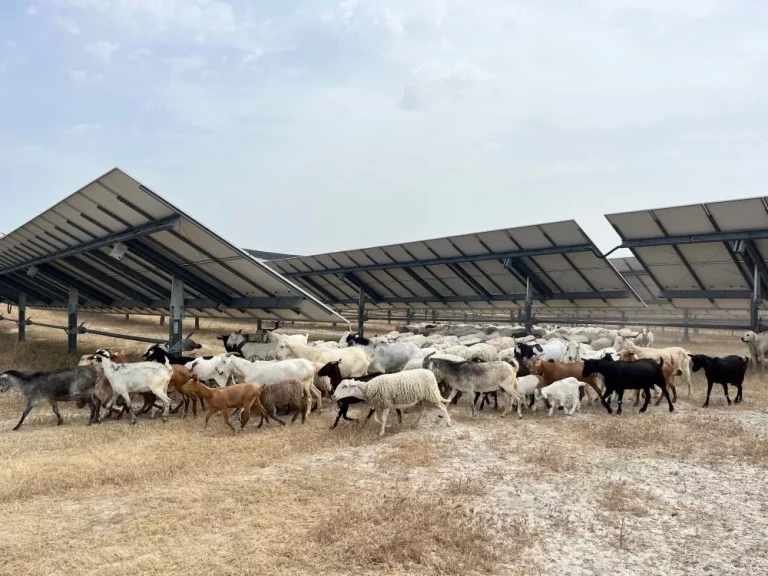 MATRIX RENEWABLES lanza su memoria de sostenibilidad 2023 con una firme apuesta por la educación