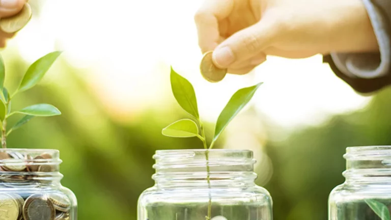 España aumenta su participación en el mercado de bonos verdes, impulsando proyectos de energía renovable y transporte sostenible