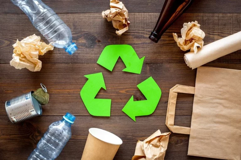 ‘Zero Waste’, la política que marcará el futuro sostenible del sector del embalaje