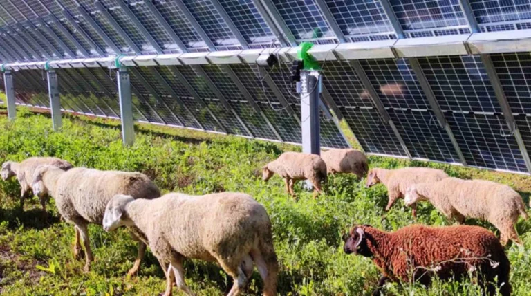 Endesa sigue apostando por la energía renovable en Andalucía con la construcción de tres plantas solares en la provincia de Sevilla