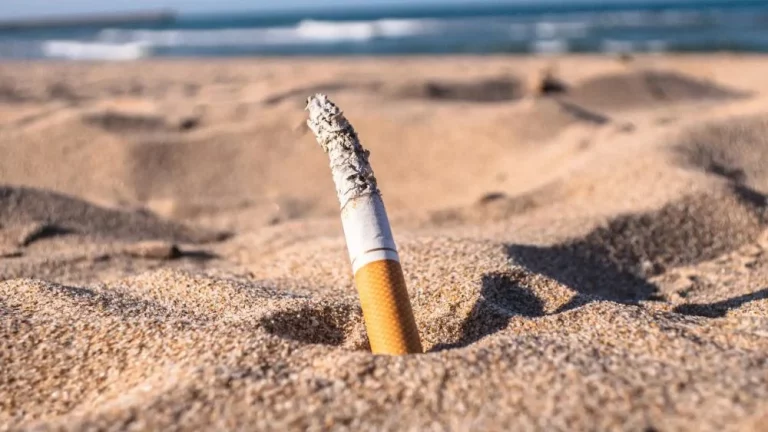 España supera las 700 playas sin humo sin articular medidas para su cumplimiento