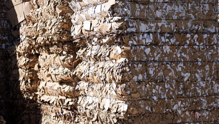 El Grupo Saica refuerza su apuesta por una gestión responsable de los residuos al adherirse a la iniciativa Cartón Circular