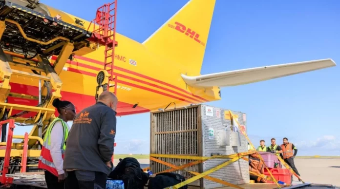 DHL Express