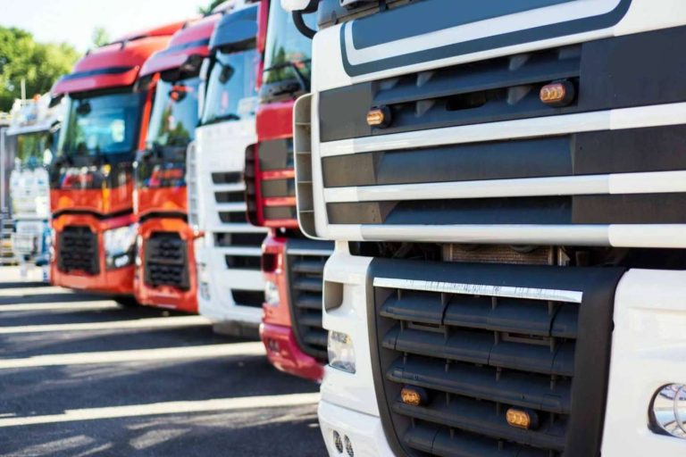 Información y recursos esenciales para el transporte autónomo con Autónomos en Ruta