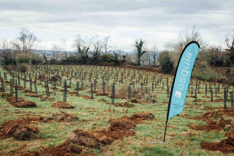 Bosquia se consolida como referente en soluciones basadas en la naturaleza para la compensación de CO2