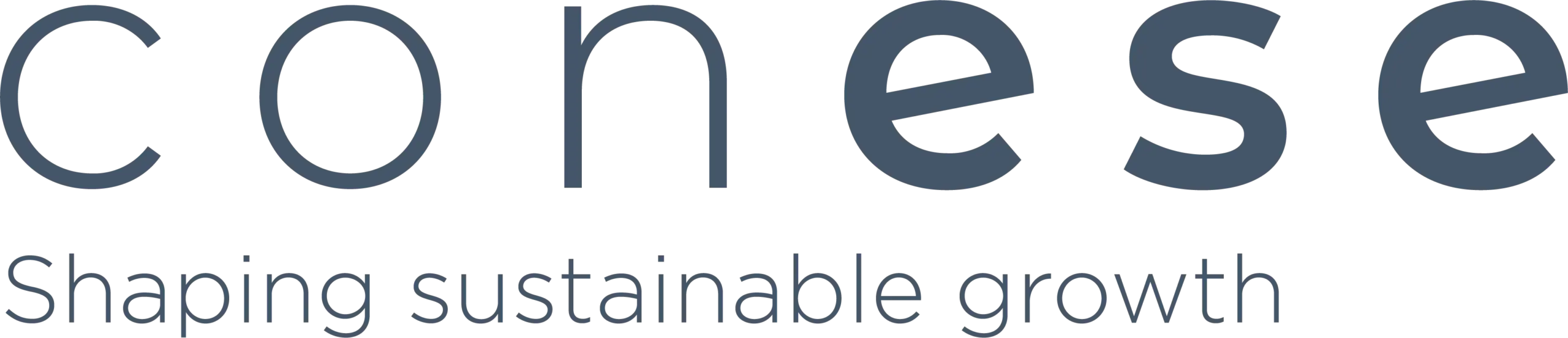 Logo Conese Azul