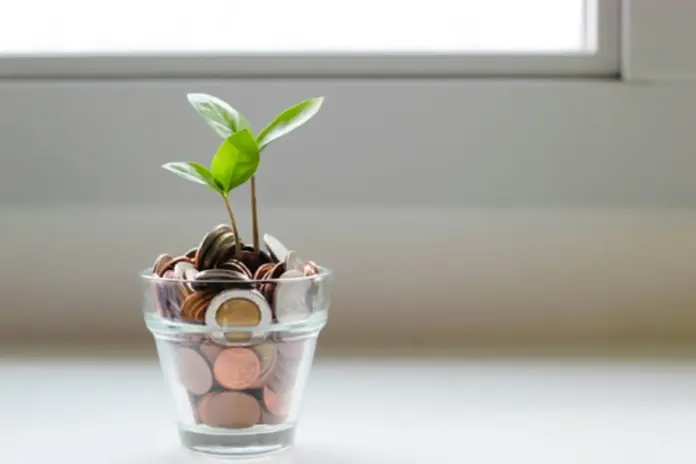 Finanzas sostenibles.Fuente Foto de micheile henderson en Unsplash